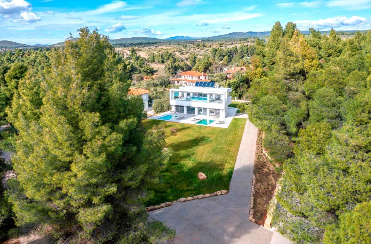Nikiti Botanic Pool Suites Kültér fotó